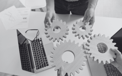 What Drives Business Success